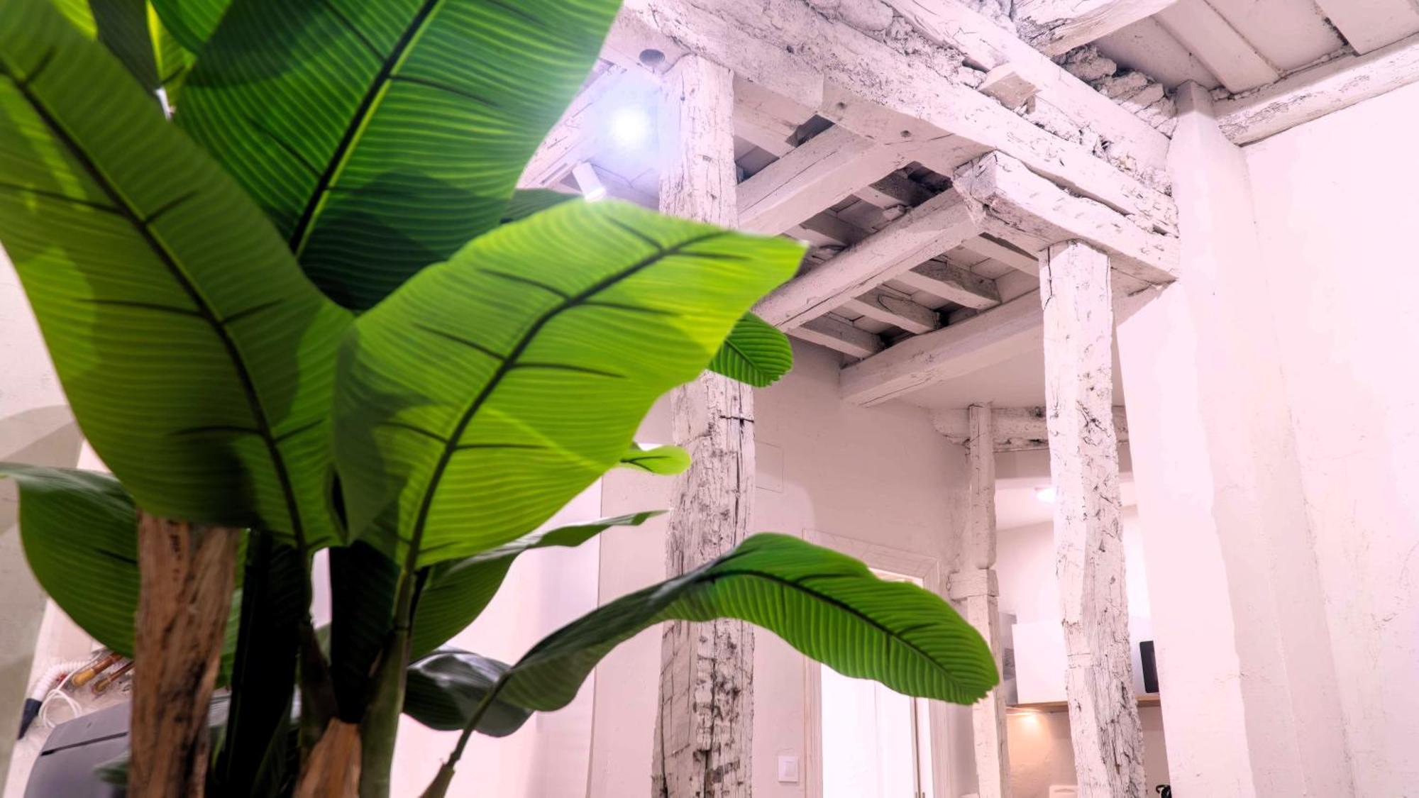 Carolina By Gaiarooms Appartement *